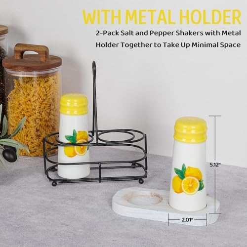 HAPPY KIT Rustic Salt Pepper Shaker Set