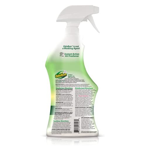 OdoBan Ready-to-Use Disinfectant and Odor Eliminator Set of 2