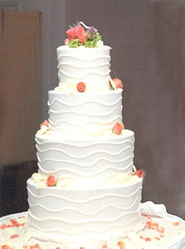 CAKESAFE 2-65 Inch Clear Acrylic Disks