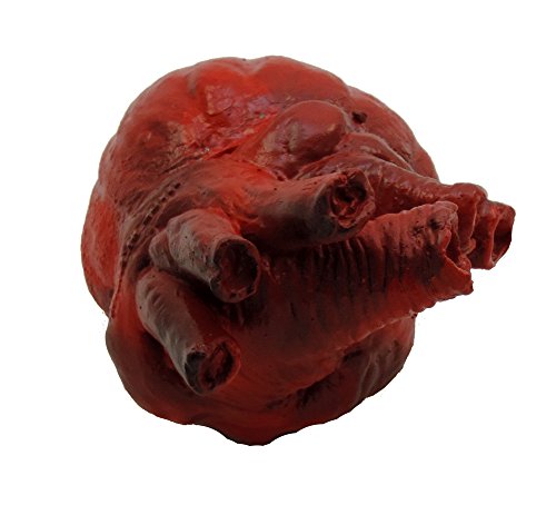 Loftus International Life Size Foam Heart Halloween Prop