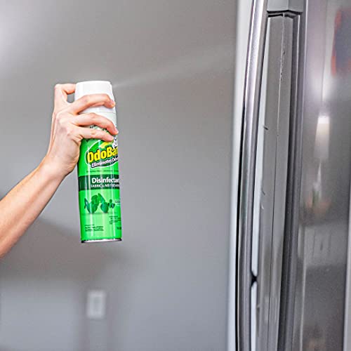 OdoBan Ready-to-Use Disinfectant and Odor Eliminator Set of 2
