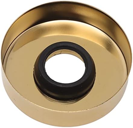 Gold 304 Stainless Steel S-Shaped Shower Arm