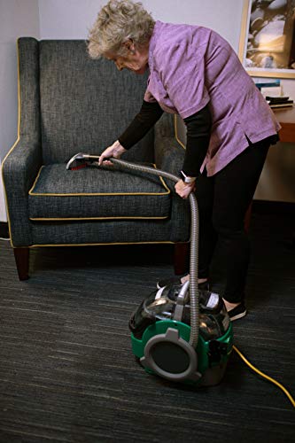 Bissell BigGreen Spot Cleaner with Deep Stain Tool