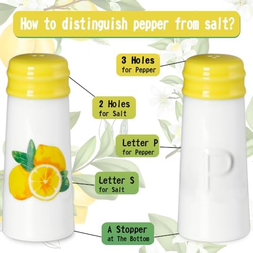 HAPPY KIT Rustic Salt Pepper Shaker Set