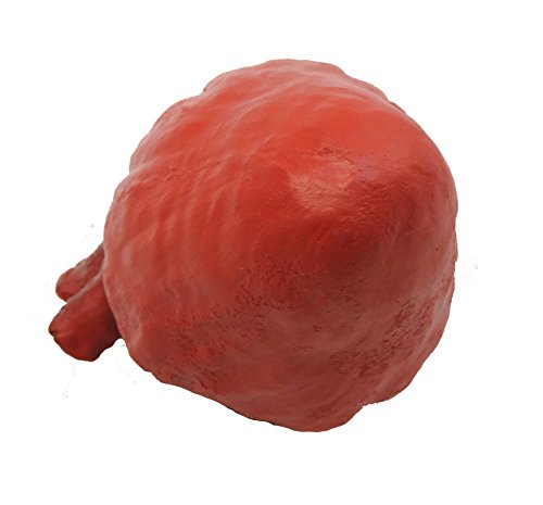 Loftus International Life Size Foam Heart Halloween Prop