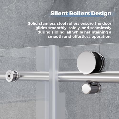 DELAVIN Frameless Shower Door 56-59 x 75