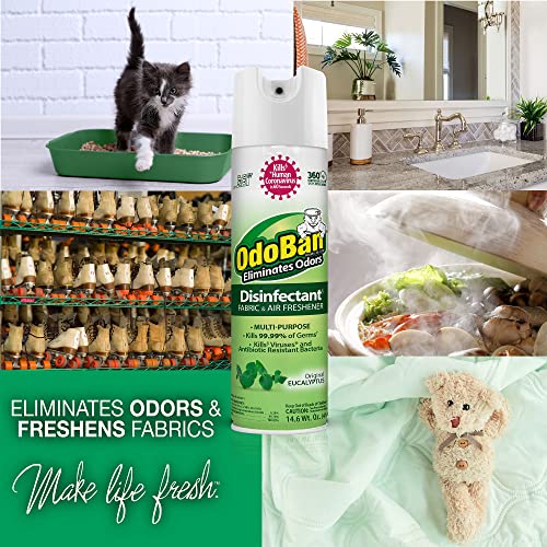 OdoBan Ready-to-Use Disinfectant and Odor Eliminator Set of 2