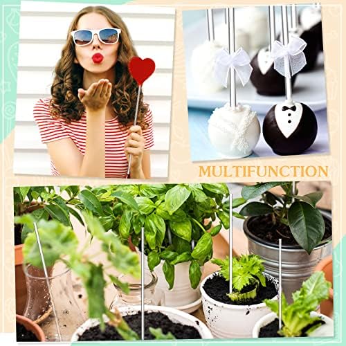 Zopeal 200 PC Acrylic Lollipop Sticks for Decor Baking
