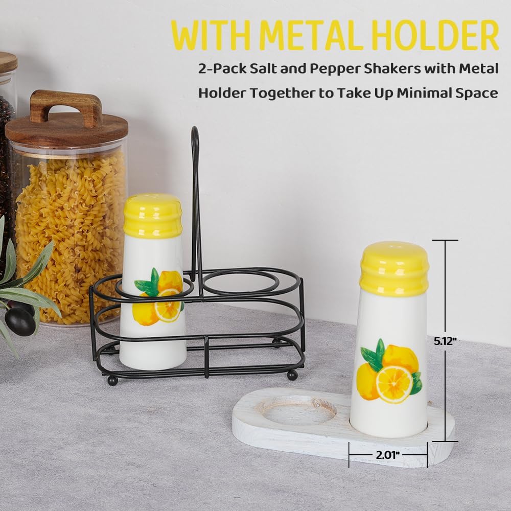HAPPY KIT Rustic Salt Pepper Shaker Set
