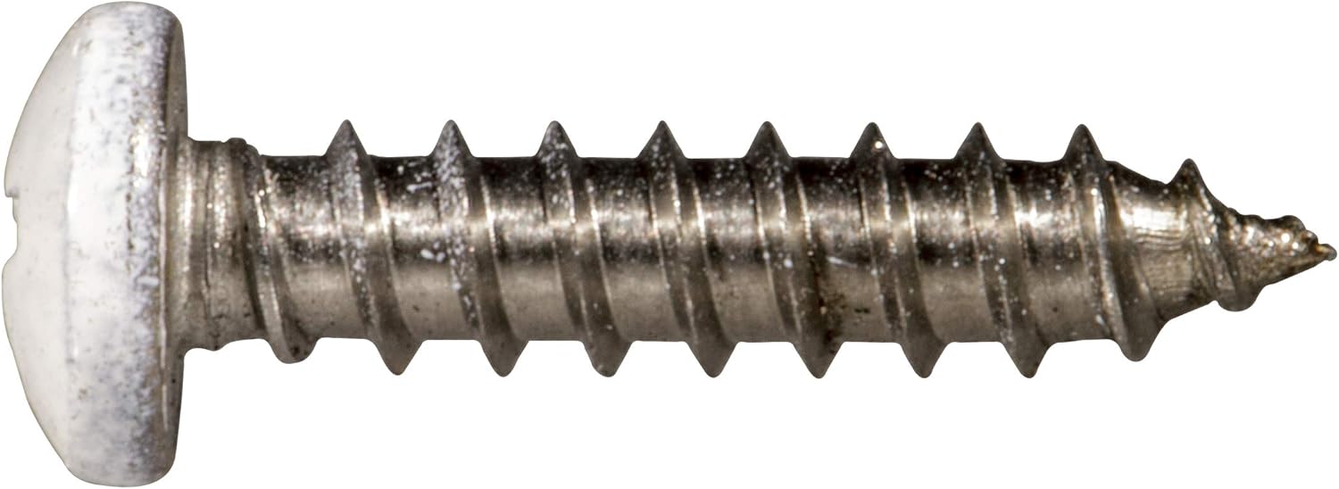 White Phillips Pan Sheet Metal Screws 8x1 1