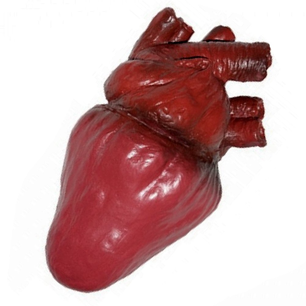 Loftus International Life Size Foam Heart Halloween Prop