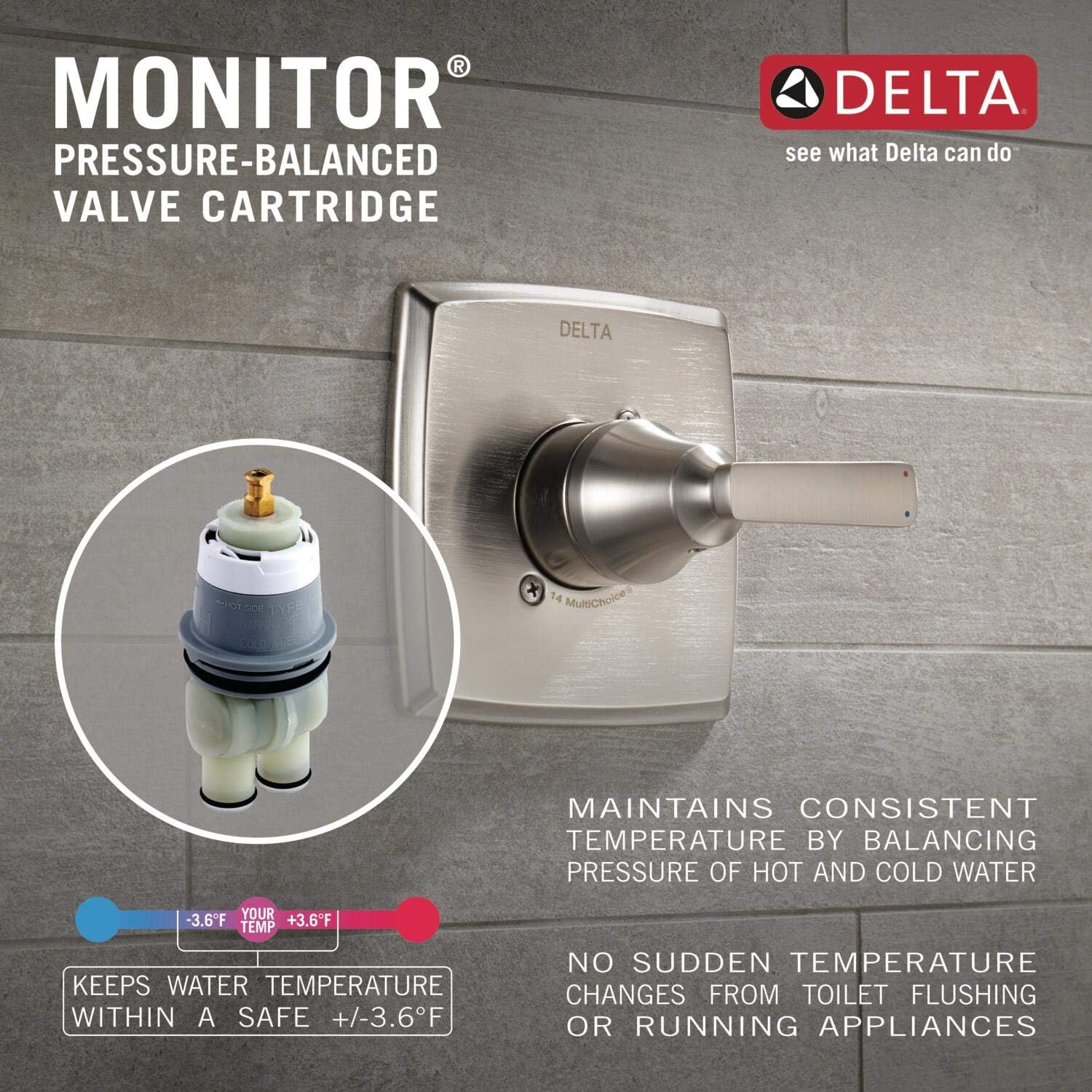 Delta Windemere Function Trim Kit with Single-Spray Head