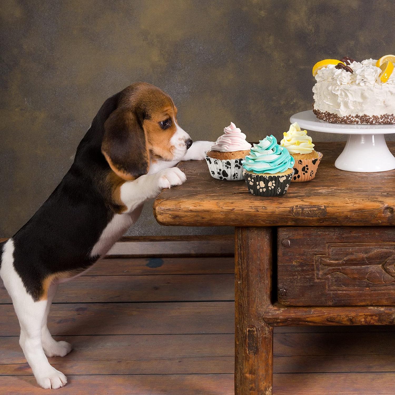 600 Piece Paw Bone Print Cupcake Liners for Birthday Parties
